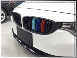 BMW 4 Series F32 2014-2016 Front Grille
